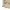 Eider Luxury Sportswear Puffer jacket Pria tan cream photo 7