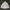 Casual Windbreaker Wanita white photo 1