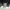 Casual Sweater Pria navy photo 4