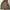 Supreme Streetwear Parka Pria green photo 8