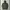 Supreme Streetwear Parka Pria green photo 3