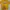 Dickies Streetwear Casual Sweater Pria yellow photo 1