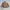 Luxury Casual Casual shirt Pria multicolor tan photo 2
