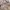Luxury Casual Casual shirt Pria multicolor tan photo 6