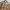 Luxury Casual Casual shirt Pria multicolor tan photo 3