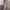 Luxury Casual Casual shirt Pria multicolor tan photo 4