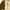 PPFM Vintage Avant Garde Suit Pria brown photo 3