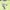 New Balance Sportswear T-shirt Pria green photo 2
