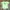 New Balance Sportswear T-shirt Pria green photo 5