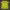 Nike Sportswear T-shirt Wanita yellow photo 5