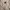 Polham Luxury Minimalist Sweatshirt Pria White