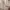 Polham Luxury Minimalist Sweatshirt Pria white photo 3