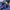 Puma Gorpcore Windbreaker Pria navy photo 4