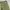 Realtree Y2K Casual Casual pants Pria multicolor photo 6