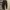 ZARA Luxury Minimalist Mom jeans Wanita black photo 1