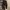 ZARA Luxury Minimalist Mom jeans Wanita black photo 6