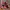 Nike Air Jordan Casual Sneakers Pria red black photo 1