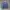 Nike Sportswear Casual Sweatshirt Pria navy photo 4