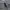 Vintage Formal shirt Pria navy photo 4