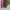 Y2K Lolita Shoulder bag Wanita pink photo 4