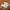 New Balance Sportswear Casual Sneakers Pria white photo 1