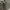 Michael Kors Luxury Casual Tote bag Wanita gray photo 8