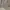 Michael Kors Luxury Casual Tote bag Wanita gray photo 2