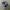 VANS Streetwear Skater Sneakers Pria white black photo 1