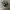 VANS Streetwear Skater Sneakers Wanita white black photo 1