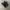 VANS Streetwear Skater Sneakers Pria black photo 2