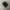 VANS Streetwear Skater Sneakers Pria black photo 1
