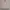 Polo Ralph Lauren Streetwear Casual Fleece Pria Cream