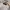 Polo Ralph Lauren Streetwear Casual Fleece Pria cream photo 4