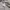 Polo Ralph Lauren Streetwear Casual Fleece Pria cream photo 6