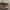 VANS Streetwear Skater Sneakers Pria white black photo 4