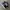 VANS Streetwear Skater Sneakers Pria white black photo 2