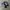 VANS Streetwear Skater Sneakers Pria white black photo 1