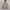 Adidas Streetwear Casual Fleece Pria gray photo 1
