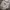 Adidas Streetwear Casual Fleece Pria gray photo 6