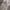 Adidas Streetwear Casual Fleece Pria gray photo 7