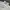 Asics Sportswear Minimalist Track jacket Pria white cream photo 8