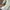 Asics Sportswear Minimalist Track jacket Pria white cream photo 5