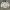 Asics Sportswear Minimalist Track jacket Pria white cream photo 2