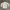 Asics Sportswear Minimalist Track jacket Pria white cream photo 7