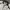 Asics Sportswear Minimalist Track jacket Pria white cream photo 3