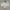 Asics Sportswear Minimalist Track jacket Pria white cream photo 1