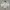 Asics Sportswear Minimalist Track Jacket Pria White Cream