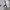 Asics Sportswear Minimalist Track jacket Pria white cream photo 6