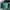 Beanpole Casual Hat Pria green photo 7