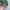 Beanpole Casual Hat Pria green photo 5